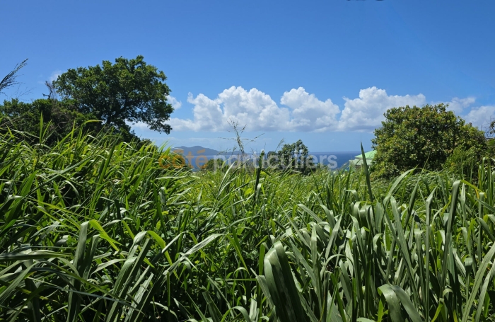 Vente Terrain 780m&sup2; Trois Rivi&egrave;res