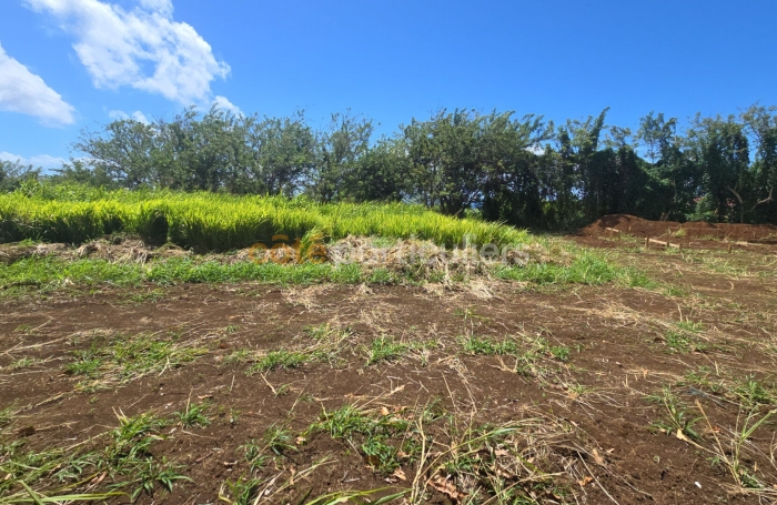 Vente Terrain 780m&sup2; Trois Rivi&egrave;res