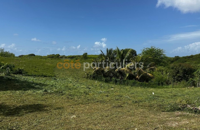 Vente Terrain 