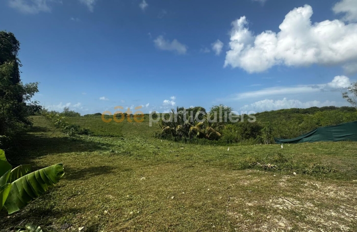 Vente Terrain 779m&sup2; Sainte Anne