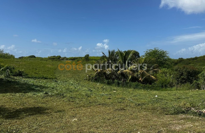 Vente Terrain 779m&sup2; Sainte Anne