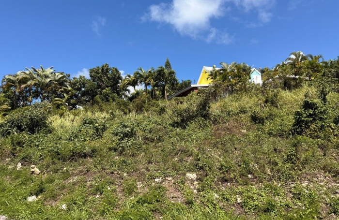 Vente Terrain 605m&sup2; Sainte Anne