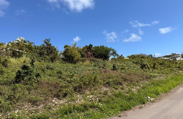 Vente Terrain 530m&sup2; Sainte Anne
