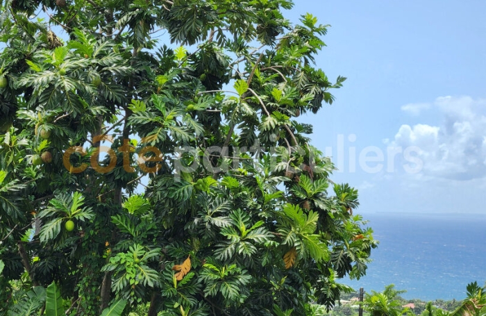 Vente Maison 165m&sup2; 10 pi&egrave;ces Capesterre Belle Eau