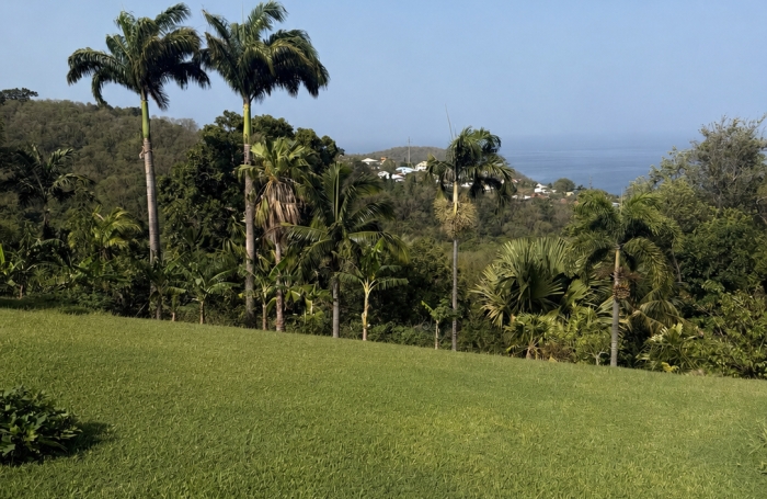 Vente Terrain 97125