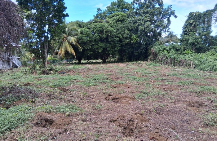 Vente Terrain 97130