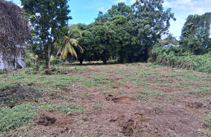 CAPESTERRE Terrain 2763 M2 'Fond Cacao'
