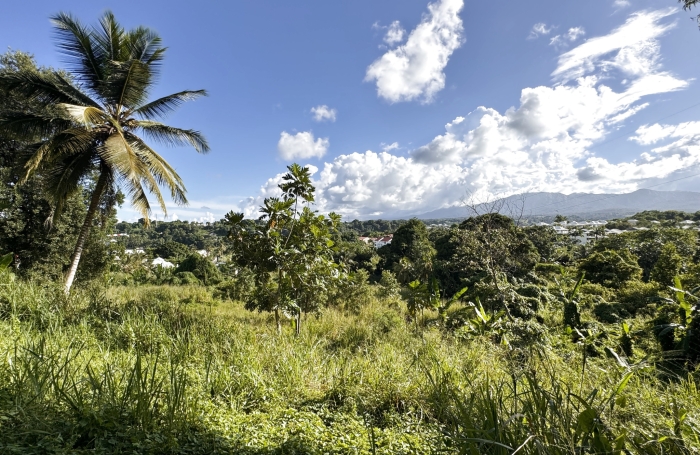 Vente Terrain 97170