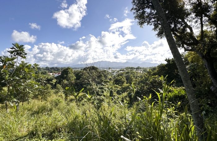 Terrain de 1630m2 &agrave; vendre 137000 &euro; &agrave; Petit-Bourg