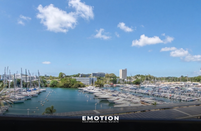 Vente Appartement 97190