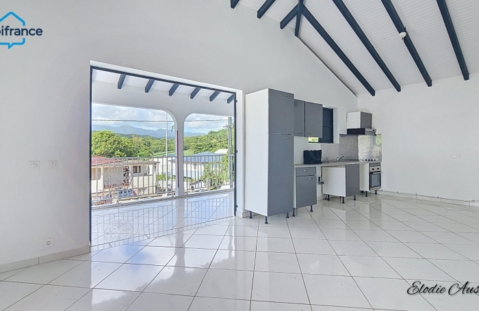Location Appartement 97170