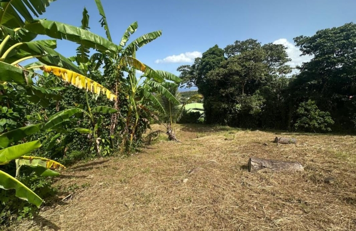 Vente Terrain 1111m&sup2; Gourbeyre