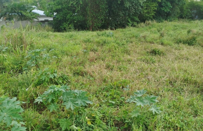 Vente Terrain 97126