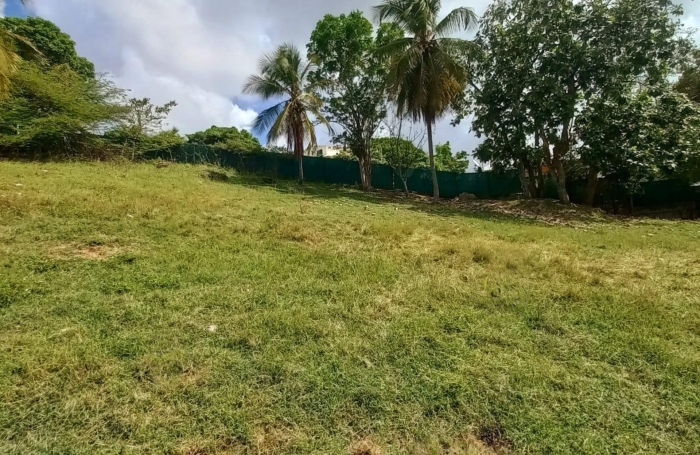 Vente Terrain 968m&sup2; Gosier