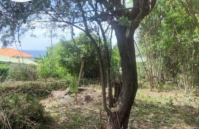 Vente Terrain 97125