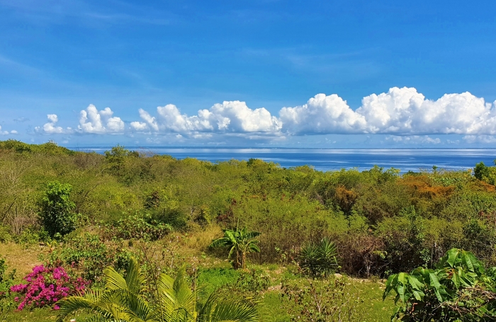 MARIE-GALANTE   Ensemble immobilier vue mer 180o : villa + 3 bungalows + terrain constructible