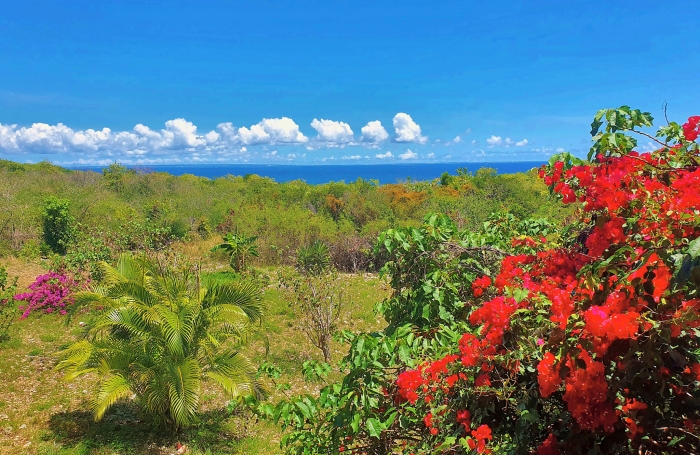 MARIE-GALANTE   Ensemble immobilier vue mer 180o : villa + 3 bungalows + terrain constructible