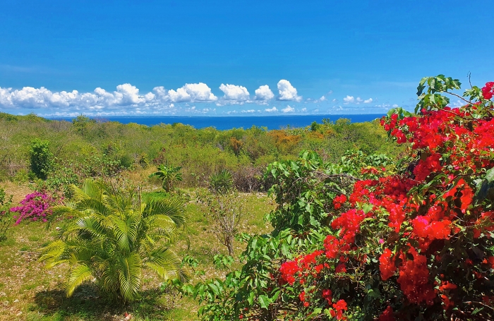 MARIE-GALANTE   Ensemble immobilier vue mer 180o : villa + 3 bungalows + terrain constructible