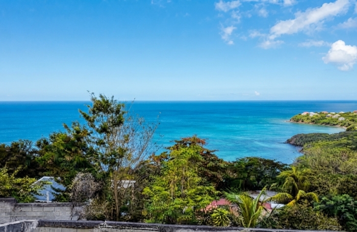 Vente Entrepot 800m&sup2; Bouillante