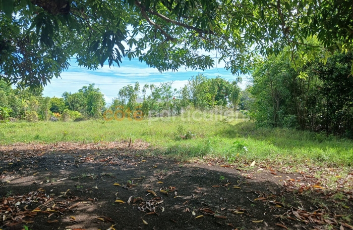 Vente Terrain 