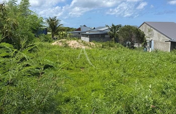 Vente Terrain 800m&sup2; Anse-Bertrand