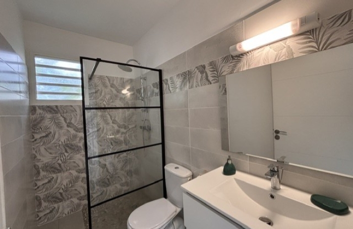 Maison individuelle &agrave; Anse-Bertrand - Longfort Immobilier
