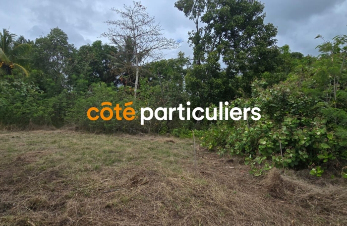Vente Terrain 601m&sup2; Sainte Anne