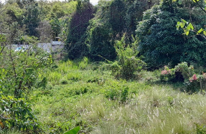 Vente Terrain 1343m&sup2; Deshaies