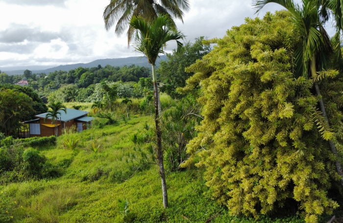 Vente Terrain 917m&sup2; Sainte Rose