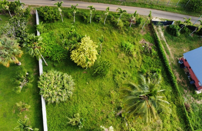 Vente Terrain 917m&sup2; Sainte Rose