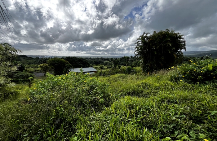 Vente Terrain 917m&sup2; Sainte Rose