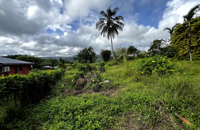 Vente Terrain 917m&sup2; Sainte Rose