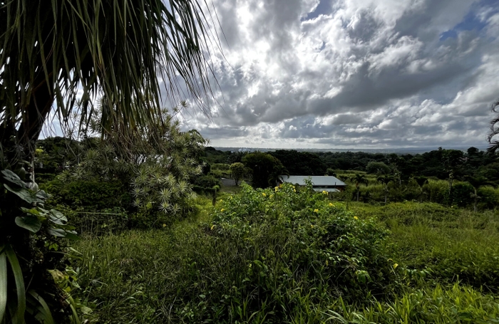 Vente Terrain 917m&sup2; Sainte Rose