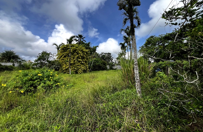 Vente Terrain 917m&sup2; Sainte Rose