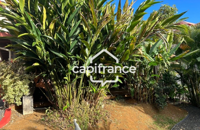 Location Appartement 45m&sup2; 2 pièces Petit-Bourg