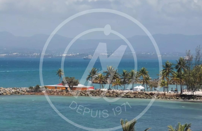 Location Appartement 97190