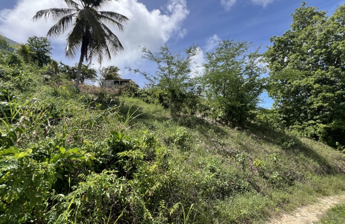 Terrain de 1024m2 en pente secteur Pliane