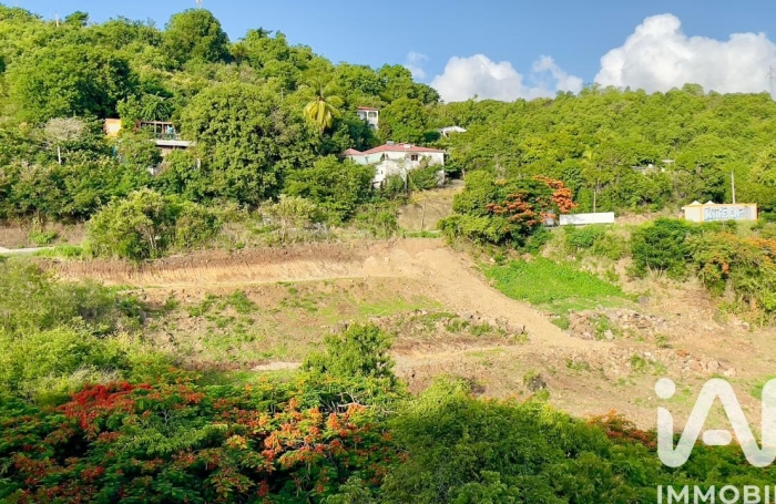 Vente Terrain 97119