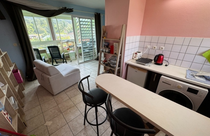 Vente Appartement 97300