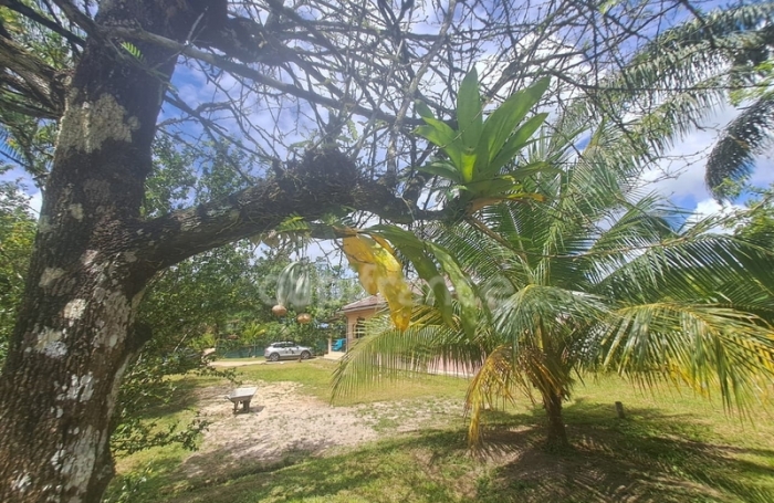 Vente Maison 125m&sup2; 4 pièces Matoury