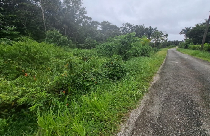 Vente Terrain 3444m&sup2; Matoury