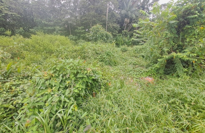 Vente Terrain 3444m&sup2; Matoury