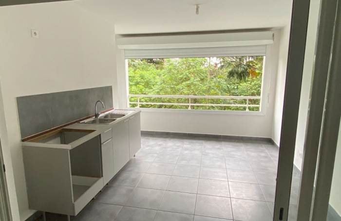 Location Appartement 97354