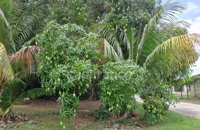 Vente Maison 166m&sup2; 6 pièces Iracoubo