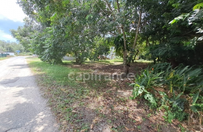 Vente Maison 166m&sup2; 6 pièces Iracoubo