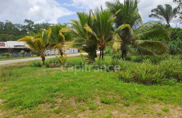 Vente Maison 166m&sup2; 6 pièces Iracoubo