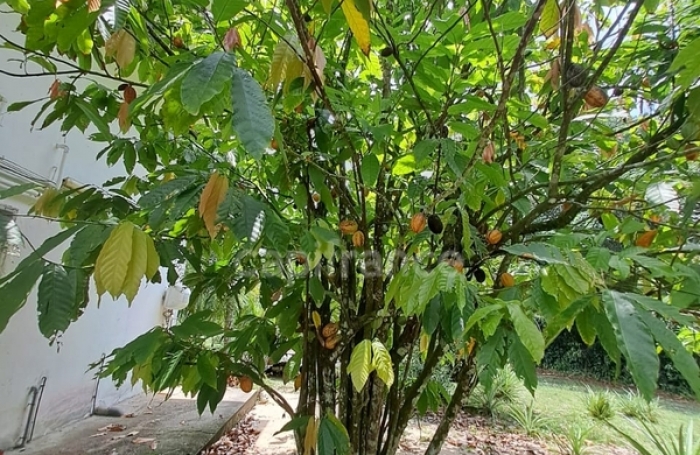 Vente Maison 166m&sup2; 6 pièces Iracoubo