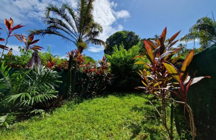 Location Appartement 29.2m&sup2; 1 pièce Cayenne