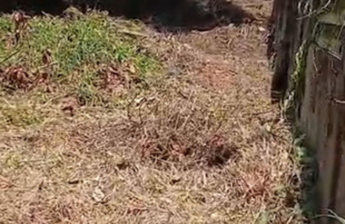 Vente Maison 75m&sup2; 4 pièces Remire Montjoli