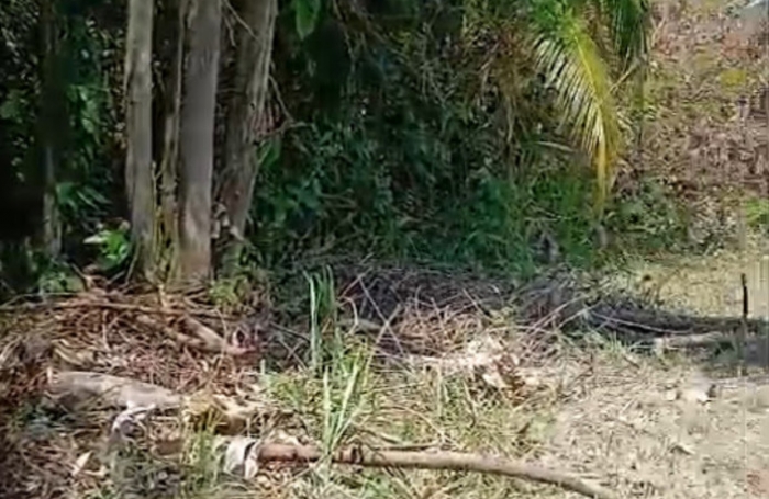 Vente Maison 75m&sup2; 4 pièces Remire Montjoli